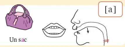 発音記号 - a - sac