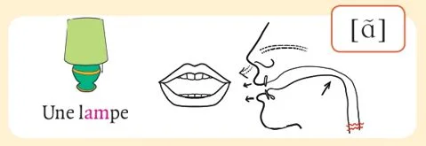 発音記号 - ɑ̃ - lampe