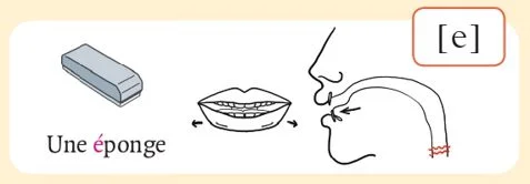 発音記号 - e - éponge