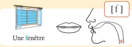 発音記号 - f - fenêtre