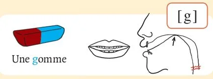 発音記号 - g - gomme
