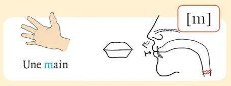 発音記号 - m - main