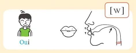 発音記号 - w - oui