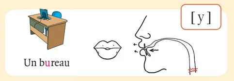 発音記号 - y - bureau