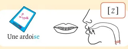 発音記号 - z - ardoise