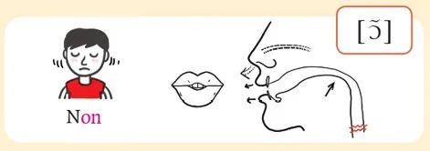 発音記号 - ɔ̃ - non