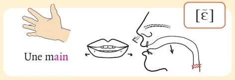 発音記号 - ɛ̃ - main