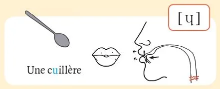 発音記号 - ɥ - une cuillère