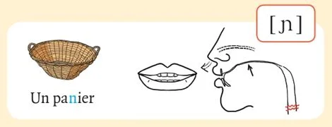 発音記号 - ɲ - panier