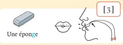 発音記号 - ʒ - éponge